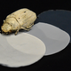 Different preparations of the material and beetle that inspired it. Unlike vantablack, which absorbs all light, a very white material would still show shadows or smudges.